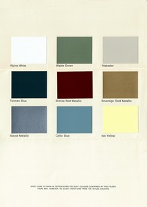 1969 Dodge Phoenix Paint Colours-04-05-06.jpg